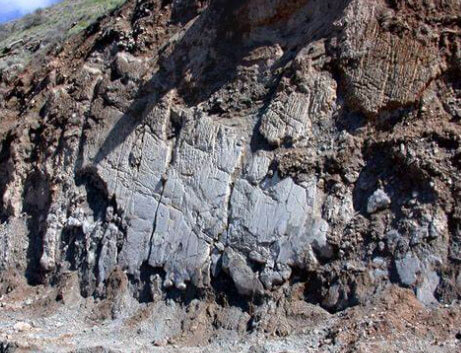 Z6·尊龙凯时(中国区)人生就是搏!