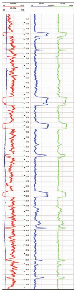 Z6·尊龙凯时(中国区)人生就是搏!