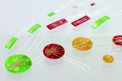 Z6·尊龙凯时(中国区)人生就是搏!